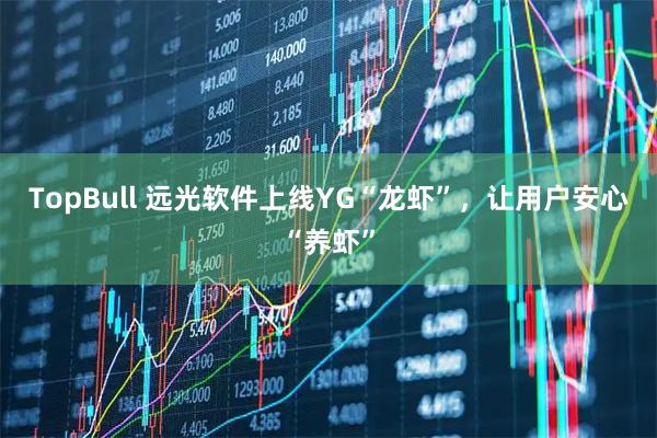 TopBull 远光软件上线YG“龙虾”，让用户安心“养虾”