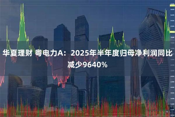 华夏理财 粤电力A：2025年半年度归母净利润同比减少9640%