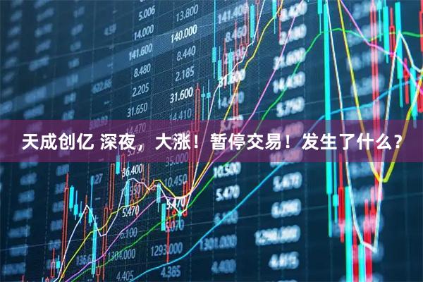天成创亿 深夜，大涨！暂停交易！发生了什么？