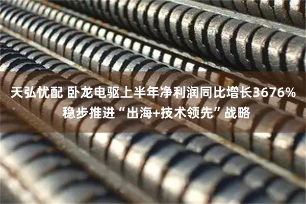 天弘忧配 卧龙电驱上半年净利润同比增长3676%  稳步推进“出海+技术领先”战略