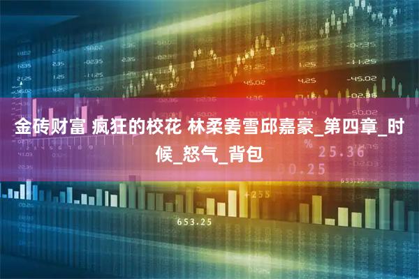 金砖财富 疯狂的校花 林柔姜雪邱嘉豪_第四章_时候_怒气_背包