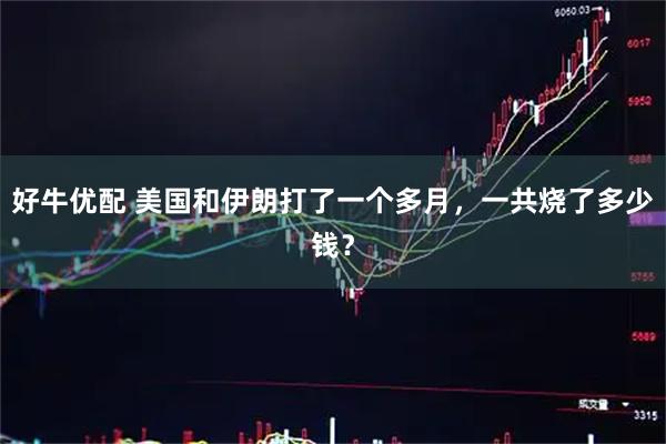 好牛优配 美国和伊朗打了一个多月，一共烧了多少钱？