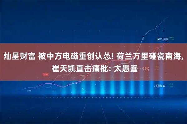 灿星财富 被中方电磁重创认怂! 荷兰万里碰瓷南海, 崔天凯直击痛批: 太愚蠢
